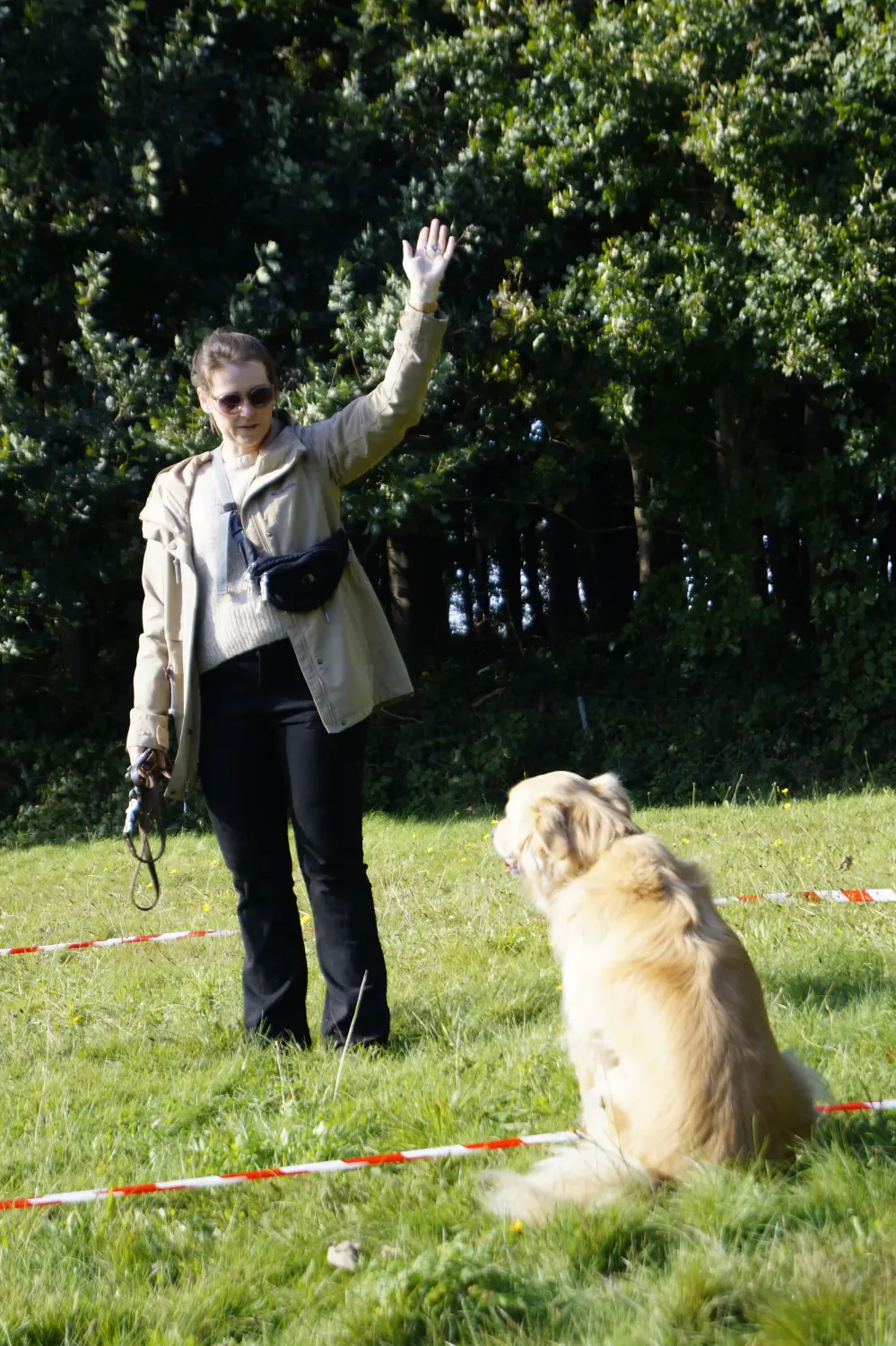 Hund mit Trainer von Betzy and Dogs