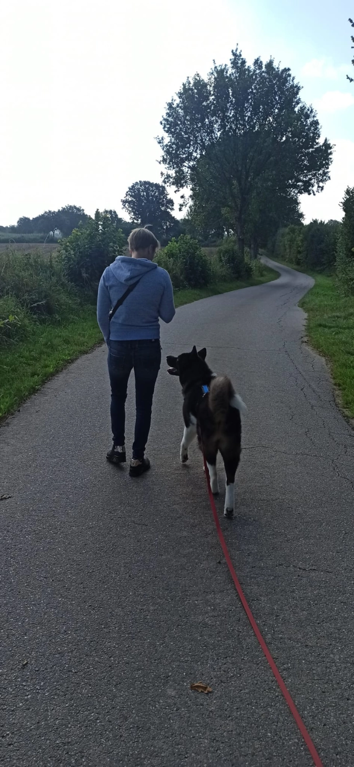 Hunde von Betzy and Dogs